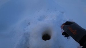РЫБУ ДАЖЕ ИСКАТЬ НЕ ПРИШЛОСЬ,ТОЛЬКО ОПУСТИЛ МОРМЫШКУ И ПОНЕСЛАСЬ.ЗИМНЯЯ РЫБАЛКА НА ЯМАЛЕ В -30