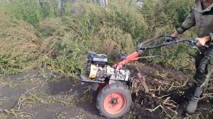 Копалка Угре не нужна. Есть способ проще.