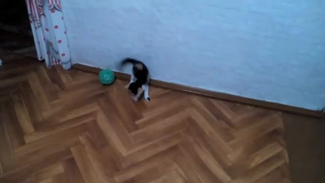 Разминка перед сном :) смотреть онлайн