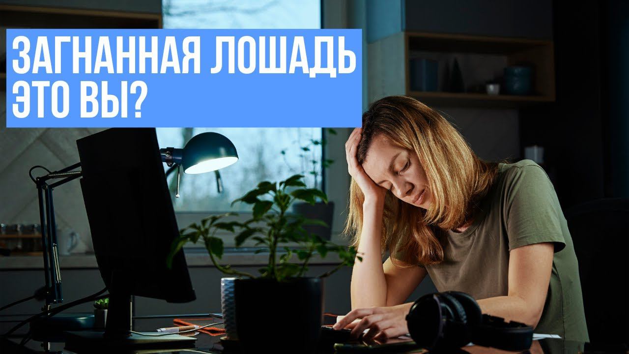 Загнанная лошадь это вы? смотреть онлайн