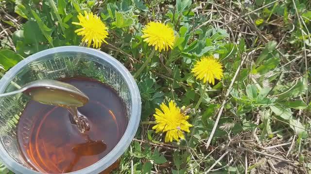 МЕД БЕЗ ПЧЕЛ! Рецепт ОДУВАНЧИКОВОГО МЕДА. Польза и вред варенья из одуванчиков