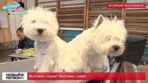 Выставка хозяев? Выставка собак!