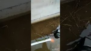 Дренажный насос вихрь дн 900. Откачка воды.