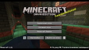 Играем в Minecraft 12