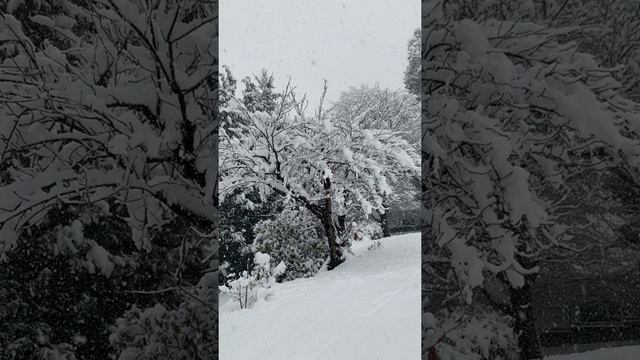 NEVICATA 4 Dicembre 2020. SNOWFALL смотреть онлайн