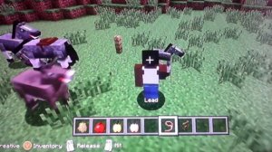 Как скрещивать лошадей в майнкрафте