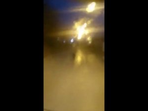 Медведь бежит по Печоре