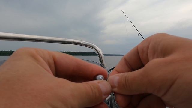 Отличная рыбалка на оз. Волго. Судак. Джиг. Подробный рассказ. И трофей на троллинг Судак на 3.5 кг смотреть онлайн