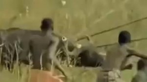 Аборигенная охота в Африке