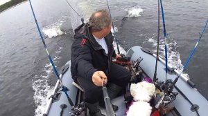 Викинг 350 Про