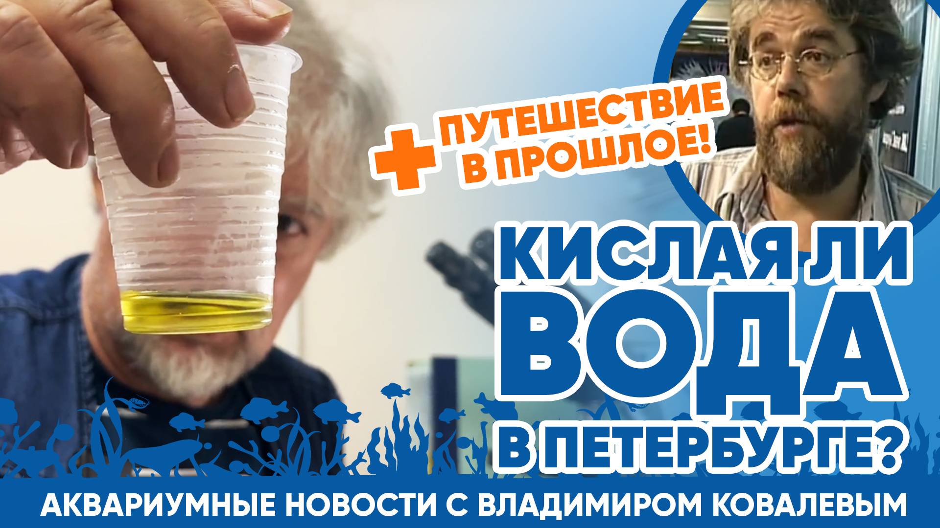 Аквариумные новости с Владимиром Ковалёвым (16.08.24). Кислая ли вода в Петербурге?