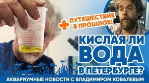 Аквариумные новости с Владимиром Ковалёвым (16.08.24). Кислая ли вода в Петербурге?