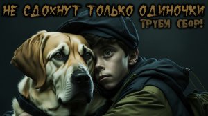 НЕ СДОХНУТ ТОЛЬКО ОДИНОЧКИ. Глава 5. Ужасы. Фантастика. Постапокалипсис. Зомби