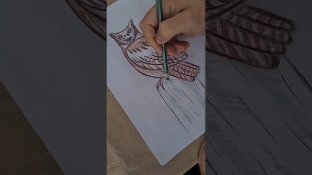Как нарисовать сову? Рисунок цветными карандашами поэтапно.#mydaycrafts #paintingforbeginners смотреть онлайн
