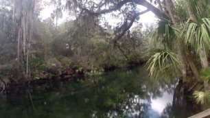 Жизнь в США | ПРОГУЛКА по Blue Spring State Park | В поисках ЛАМАНТИНА Национальный парк Флориды