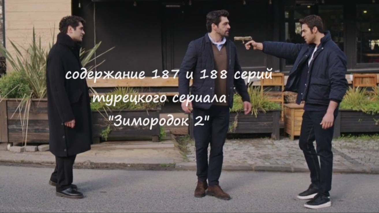 Содержание 187 и 188 серий (23 и 24 турецкие) второго сезона сериала "Зимородок" (РФ, 2023  / 2024)