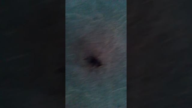 Fly refused breakdancing - Муха не захотела танцевать брейк-данс смотреть онлайн