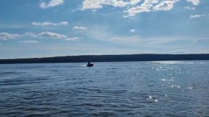 Ускорение и скорость Tarpon 9.9