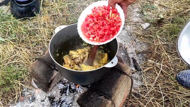 Готовим домашнюю курицу с картофелем на костре