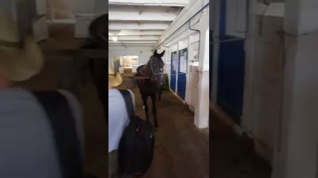 Восточный маршрут(4).mp4 смотреть онлайн