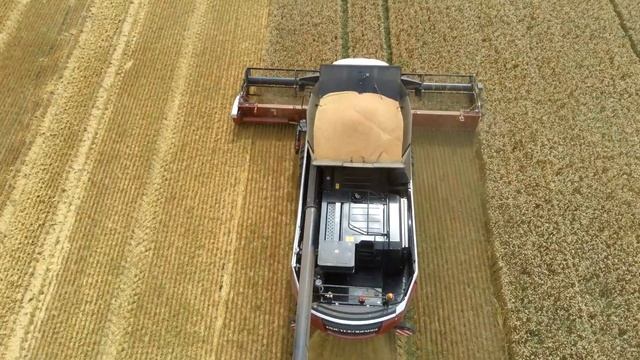 ВСЕМ РАБОТНИКАМ СЕЛЬСКОГО ХОЗЯЙСТВА ПОСВЯЩАЕТСЯ! смотреть онлайн