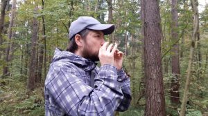 Барыня наигрыши на окарине