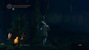 Сад темных корней Dark Souls Remastered прохождение #39