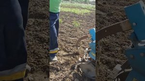 Как за 30 минут прополоть огород.