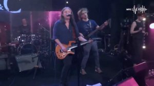 Чиж & Co.Вечная молодость (Live 2020)