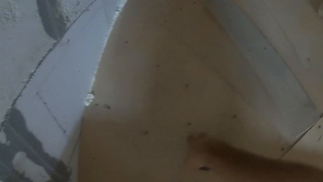 Полувинтовая бетонная лестница СВОИМИ РУКАМИ