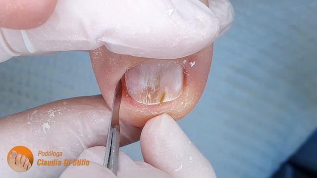 Nail polishing and cutting смотреть онлайн