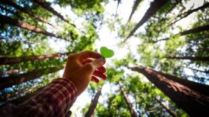 Медитация на привлечение любимого человека для женщин