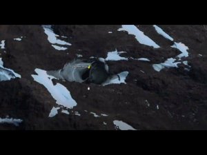 Антарктида вход в подземный мир. Случайно обнаружил люк в горах Антарктиды. Куда ведет подземный ход