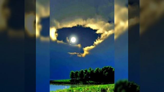 Бродяга-любовь, песня смотреть онлайн