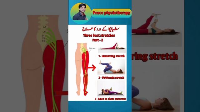 3 best excercises / stretches for sciatica pain Releif, Treatment at home #shorts #sciatica