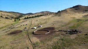 Воспитание на чайлаге (1)