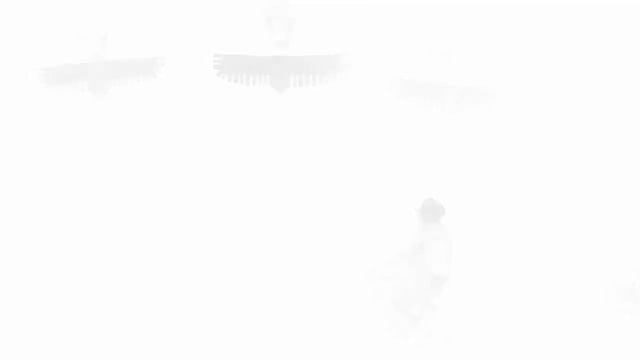 Burning Man Festival | NCB смотреть онлайн