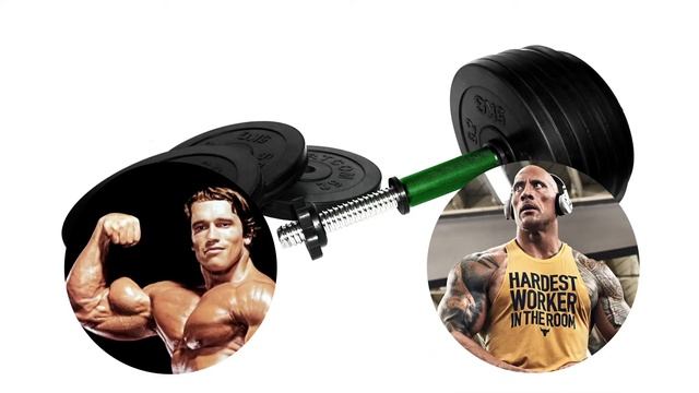 Гантель разборная BARFITS Sportcom D26 16,5кг смотреть онлайн