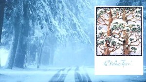 Художник открыток Любовь Похитонова. #филокартия #похитонова #коллекционирование