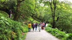 Wicklow mountains Ireland| Glendalough national park|Roundwood Village in county Wicklow| 4k 60fps