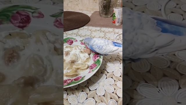 Нашему Саше не угодишь!?