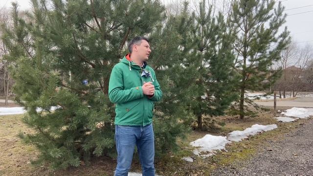 ЗНАКОМСТВО С НАШЕЙ КОМПАНИЕЙ смотреть онлайн