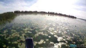 Ловля щуки в зарослях травы  Воблеры и колеблющиеся блесна