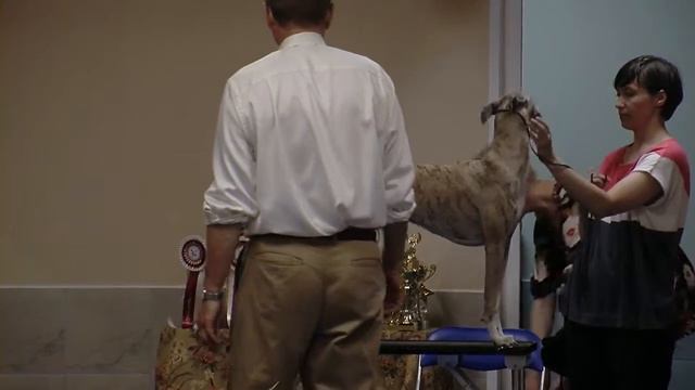 At Last The Dodo Said смотреть онлайн