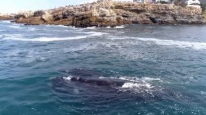 741 Гц, очистить от инфекций и токсинов, очистить ауру, повысить иммунную систему, медитация (1)