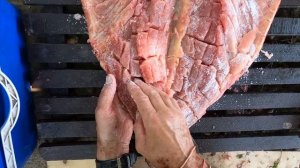 Астрахань 2022. Как вялить крупную рыбу в жару без полога.