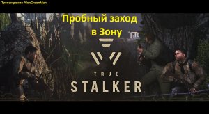 True Stalker Пробный заход в Зону