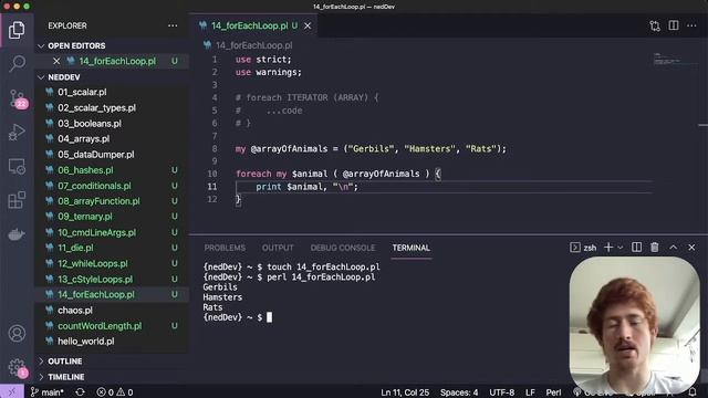 perl5 #16: Foreach Loop // For, Foreach смотреть онлайн