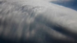 Кит белуха в океанариуме Екатеринбурга