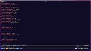 Настраиваем свой конфиг для NeoVim на Lua